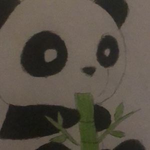 Meet your Posher, Nethan